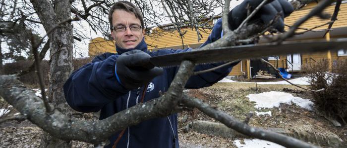 Rett ting til rett tid: gartnaren tilrår